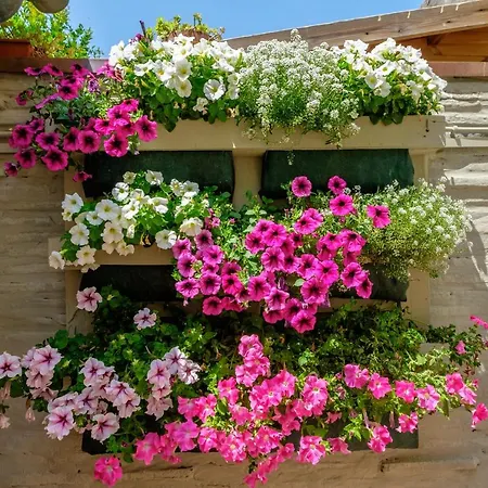 Di Zenzero Via Portone رافيننا